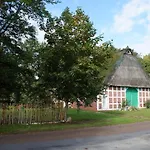 Kreativ-kate