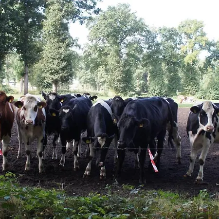 Lejlighed Kreativ-kate *