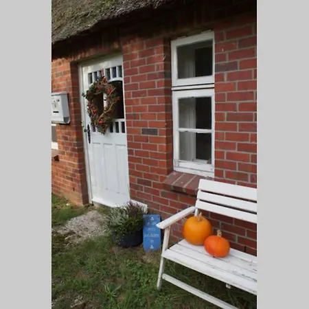 Apartment Kreativ-kate *