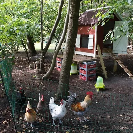 Kreativ-kate Lejlighed *