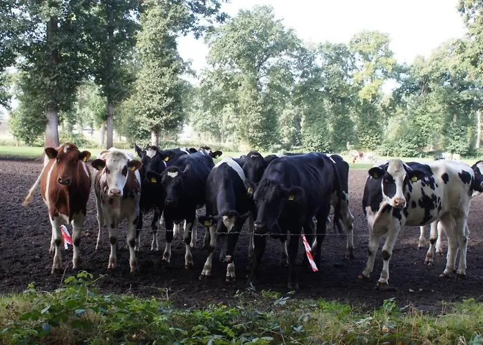 Διαμέρισμα Kreativ-kate *