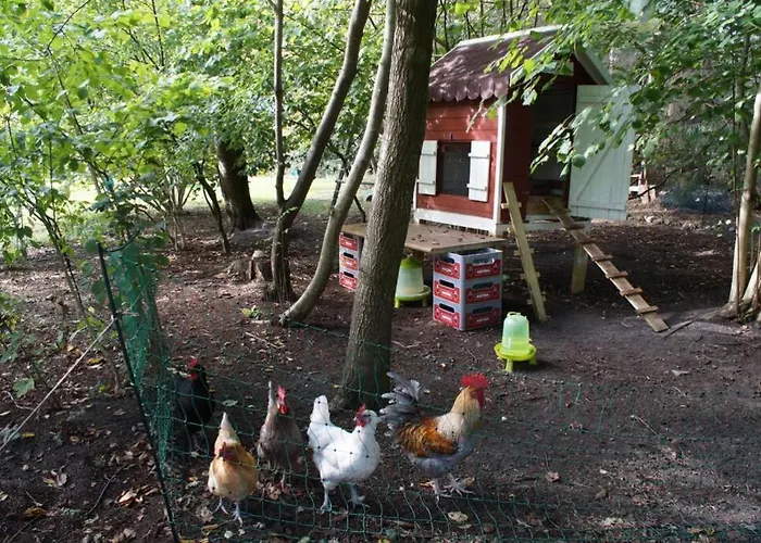 Kreativ-kate Апартаменты *